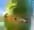 post #12237