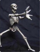 post #12609